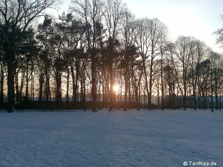 Pure Idylle: Mit dem Nokia N95 ist der Schnee im Altonaer Volkspark in Hamburg zum Greifen nah